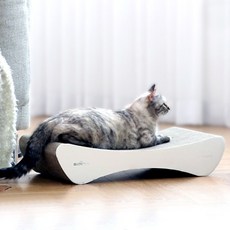  뽀떼 고양이 스크래쳐-T5, 색상, 1개 