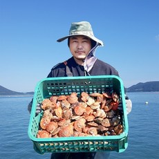 프리자연 청정해역 고흥 최상급 비단가리비 제철 맛있는 가리비 대 특대 1kg 2kg 3kg, 2kg [특대]