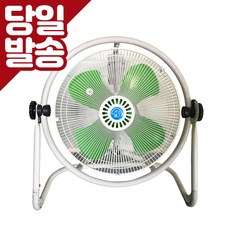 강풍타이거킹