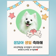 강아지 생일 자유 문구 제작 현수막 플랜카드 DA_06 70X90