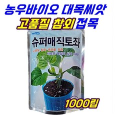 슈퍼매직토좌 1000립 씨앗 종자 참외 생산을 위한 참외 대목 농우바이오, 1개