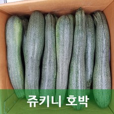 못난이쥬키니10kg