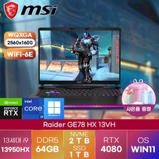 MSI 노트북 Raider GE78 HX 13VH-i9 QHD Win11 (227KR) 17인치 고사양 고성능 게이밍 노트북 (코어i9-13950HX/RTX4080), WIN11 Home, 64GB, 2TB, 코어i9, black