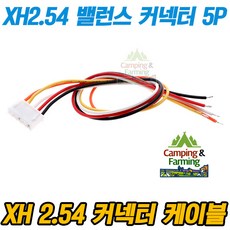 XH2.54 26AWG 밸런스 케이블 커넥터 하네스 20cm 5P, 1개