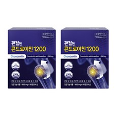 관절엔 콘드로이친 1200 + 씨오케이마스크 증정, 60정, 2박스