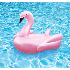 2022아메리칸이글은화튜브