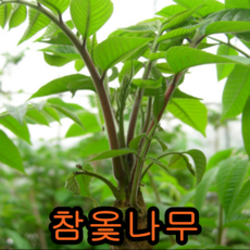 f7302b8259dd546a90d07dbbada316eeb42ef130337ac90483a23420a8c0.png