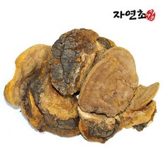 자연산 건조 상황버섯 250g (정품/정식통관), 1개