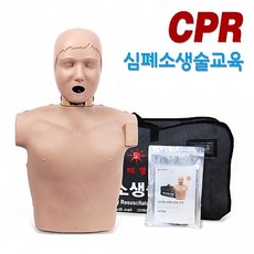 태양 한국형 심폐소생술 실습모형 CPR마네킹 써니 단순형