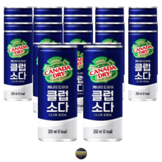 [호호마켓] 캐나다드라이 클럽소다250ml 30개, 250ml