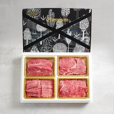  우마왕 한우 1++ No9 하이엔드 구이용 명품 백화점 횡성 선물세트 (냉장), 1kg, (실속)등심+갈비살+국거리+불고기 