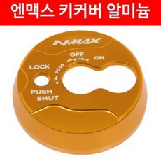 p125전용커버