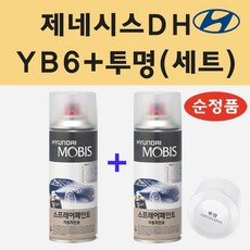 순정품 현대 제네시스DH YB6 오닉스블랙 스프레이 페인트 + 투명스프레이