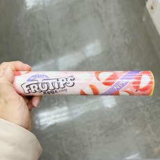 프루팁스리치