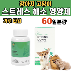 강아지행동의학