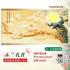 코스트코난방기