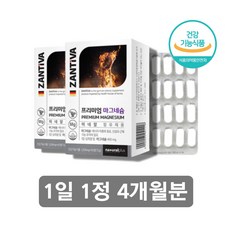 독일 산화 탄산 마그 네숨 네슘 네슝 마그 네시움 네이슘 미네랄, 독일산마그네슘 60정 x2박스