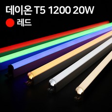 나스필t5