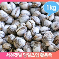 동죽1kg