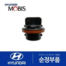 전면 방향지시등(깜빡이) 전구 소켓 (921663X010) 올뉴 카니발 LF쏘나타 하이브리드 아반떼MD 투싼ix 투싼I, 1개
