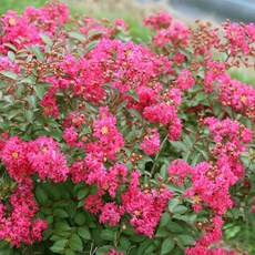 3f662cff47359d8d497a798910df590f6183d69508ccbde2fe8cb61ffff3.jpg