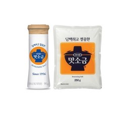 청정원 미원 맛소금 95g(용기형) + 250g(봉지형), 1개, 95g