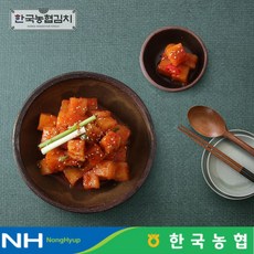 한국농협김치 한국농협김치 전라도 순천 남도 깍두기 3kg, 1개