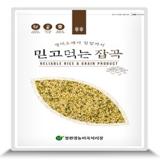 수입 깐녹두 기피녹두 거두녹두 대깐녹두, 1개, 1kg