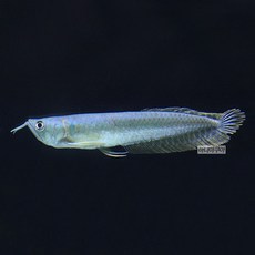 3e07afcd8008f0fe3f6c437321441e017c3368484327cafca3e546afe1a7.jpg