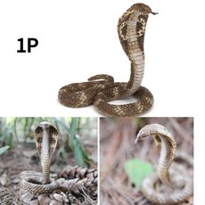 킹코브라