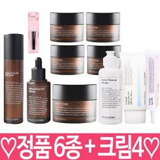 [정품] 인셀덤 기초 6종 세트 (부스터+세럼+크림+파우더+썬젤+비비) + 엑티브 크림 4개 팩브러쉬 단독 구성!, 1세트
