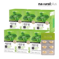 내츄럴플러스 에버핏 레몬밤 30정 6박스, 30정 x 6박스, 800mg