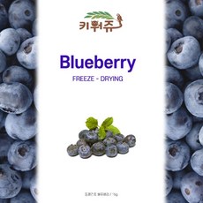 큐브형 동결건조 키위/호박/산딸기 15g, 키위