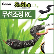 rc뱀