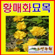 7adecc89390a600ebdaf87f1760642410714f1a7f93c073b32535ba847f4.jpg