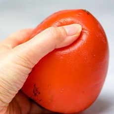 최상품 꿀이뚝뚝 달콤한 대봉감 산지직송, 1박스, 5kg(로열대과)