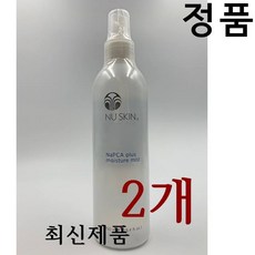 뉴스킨미스트