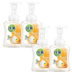데톨포밍핸드워시아로미250ml