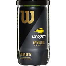 윌슨테니스공2구