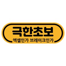 대구수성구운전연수