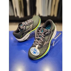 미즈노웨이브라이더