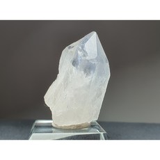 듀모티어라이트