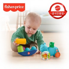 러닝홈피셔프라이스