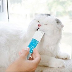 멍랩 츄잉브러쉬 냥치 츄르 리필7p 고양이칫솔