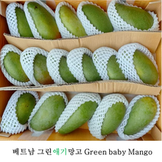 베트남 그린애기망고 Baby Xoai Vietnam Baby Green Mango 2.5kg 5kg 새우소금, 2.5kg(8과내외), 1개