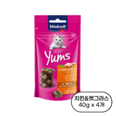비타크래프트 고양이간식 캣얌, 치킨+캣그라스, 40g, 4개