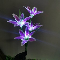 8f39c823201031eff310ea37117c8c5f9c8921c11a27c55a347c400db30d.jpg