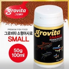 카디널테트라 TOP01