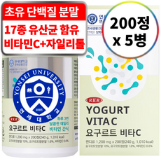 연세생활건강 RKR 진짜 맛있는 17종 유산균 요구르트 비타민C, 5개, 200정