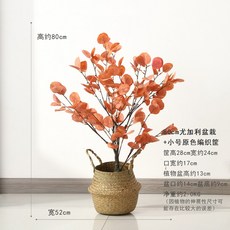 //상품명